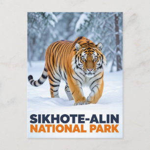 Tiger in Sikhote Alin National Park Russia Postcard
