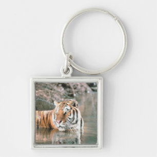 Tiger in stream keychain