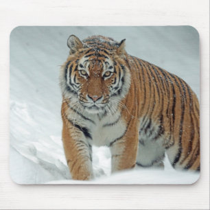 Tiger in the snow mouse pad
