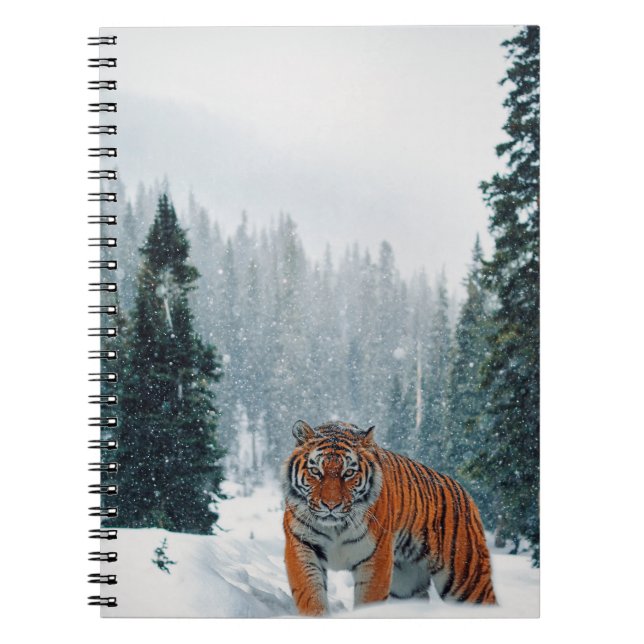 tiger in the snow notebook (Front)