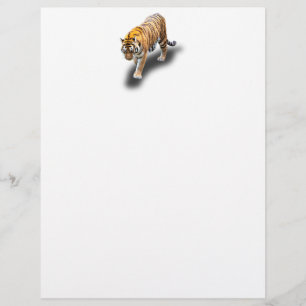 TIGER IN YOUR DIRECTION LETTERHEAD