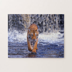 Tiger Jeu Puzzle