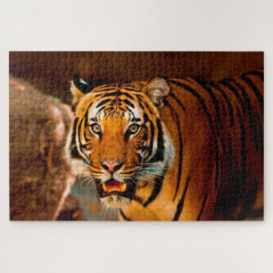 Tiger Jigsaw Puzzle