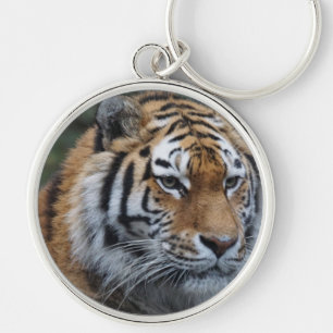 Tiger Keychain