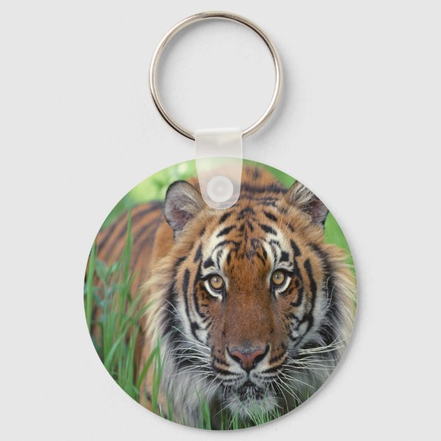Tiger Keychain (Front)