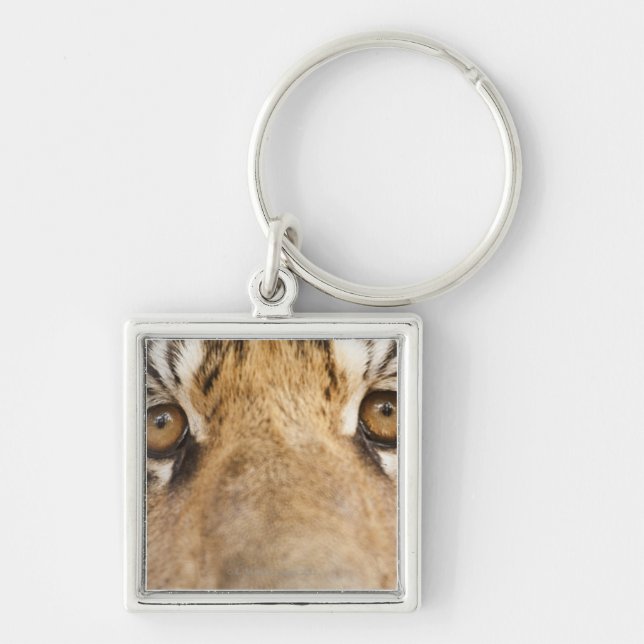 Tiger Keychain (Front)