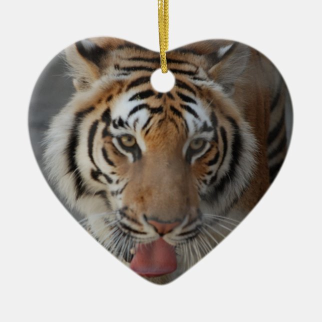 Tiger Kisses Ornament (Front)