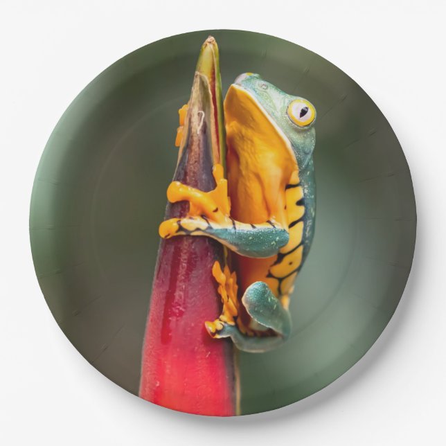 Tiger Legged Monkey Tree Frog Green Orange Paper Plate (Front)