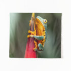 Tiger Legged Monkey Tree Frog Green Orange