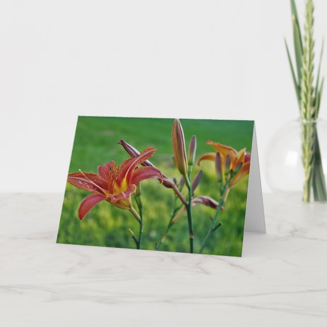 Tiger Lilies Card (Front)