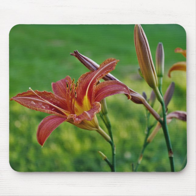 Tiger Lilies Mouse Pad (Front)