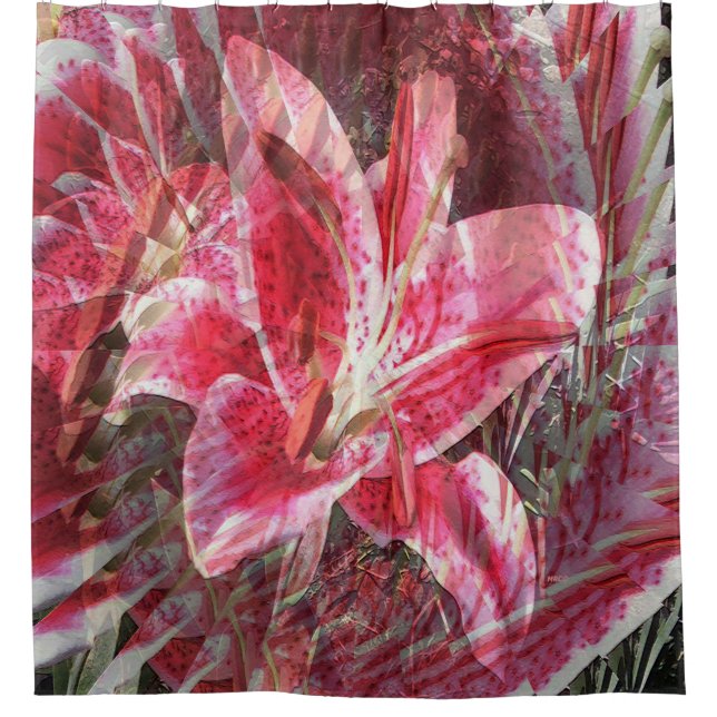 Tiger Lily....... (Front)