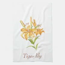 Tiger lily botanical floral watercolor 