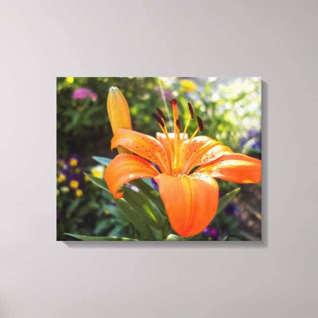 Tiger Lily Canvas Print (Front)