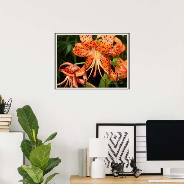 Tiger Lily Flower Garden Poster (Home Office)