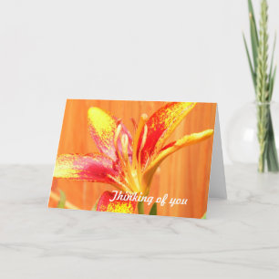 Tiger Lily Greeting Cards