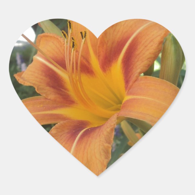 Tiger lily in summer heart sticker (Front)
