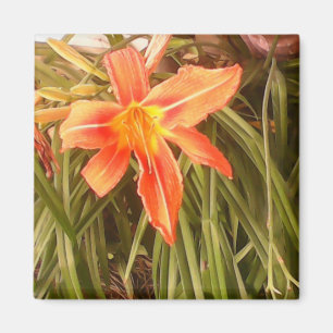 tiger lily magnet