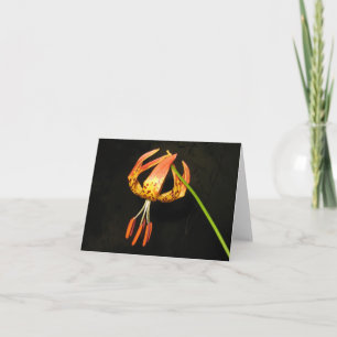Tiger Lily Note Card