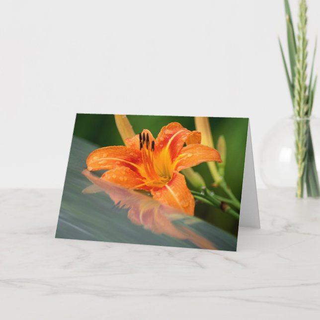 Tiger Lily Reflection Card (Front)