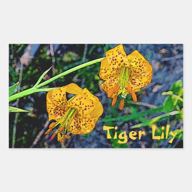 Tiger Lily Sticker (Front)