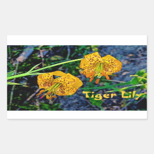 Tiger Lily Sticker