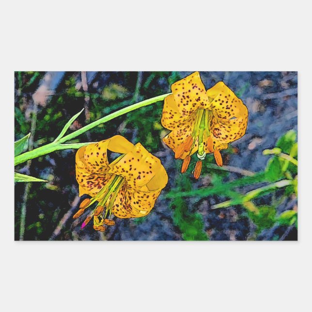 Tiger Lily Sticker (Front)