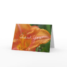 Tiger Lily Thank You White