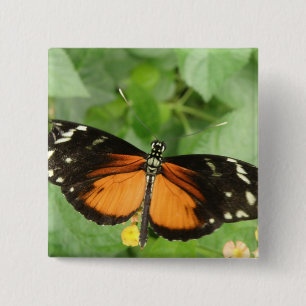 Tiger Longwing Butterfly Button
