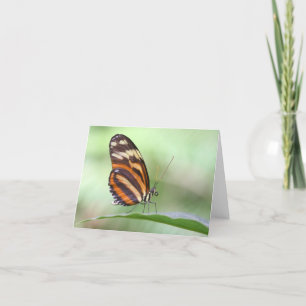 Tiger longwing card
