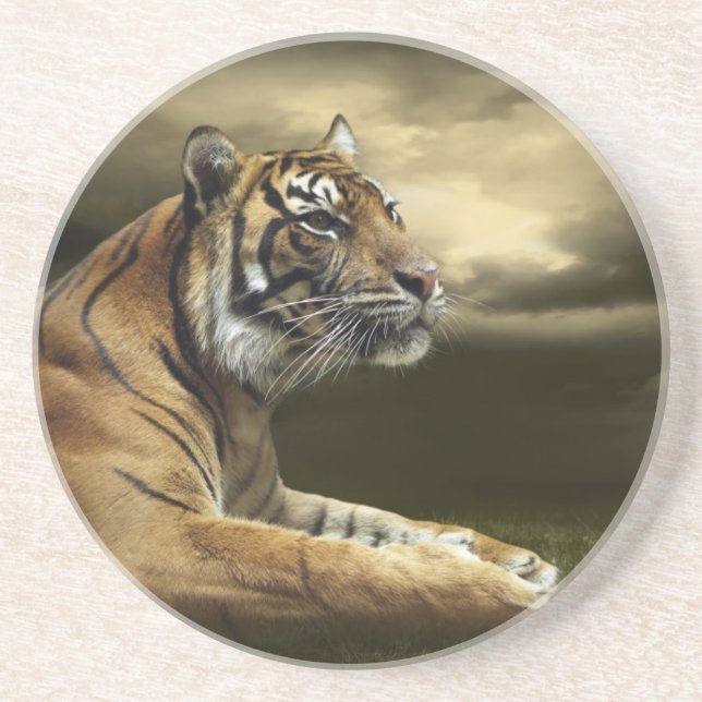 Tiger looking and sitting under dramatic sky coaster (Front)