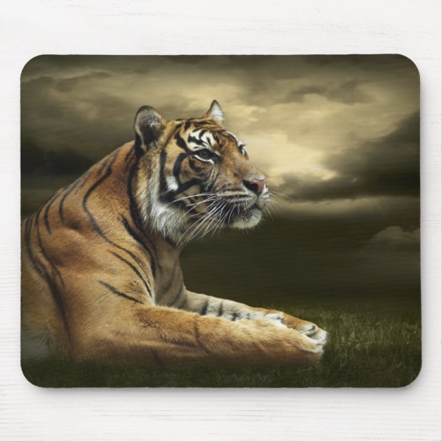 Tiger looking and sitting under dramatic sky mouse pad (Front)