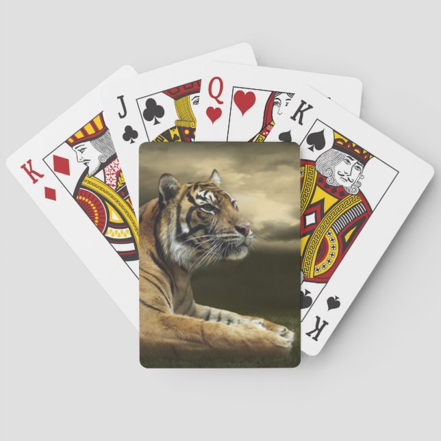 Tiger looking and sitting under dramatic sky playing cards (Back)