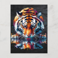 Tiger looking at Reflection in Water