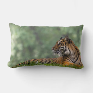 Tiger Lounging Beneath a Tree Lumbar Pillow