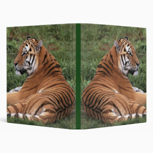 Tiger Lounging Binder