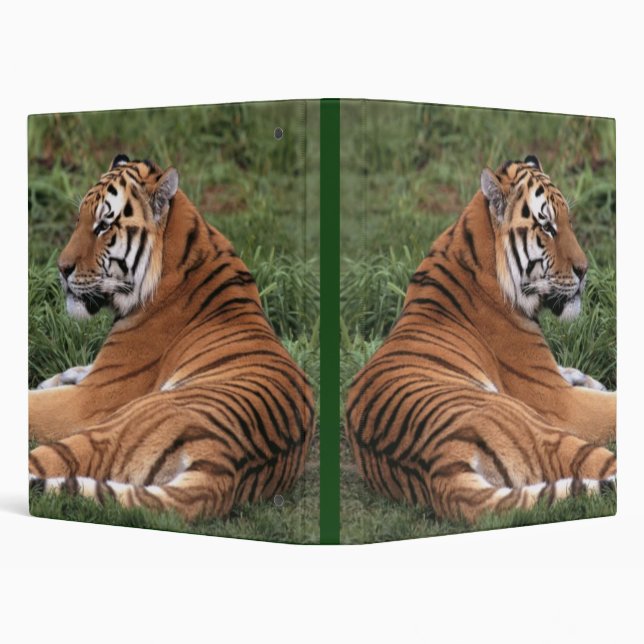 Tiger Lounging Binder (Background)