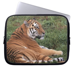 Tiger Lounging Laptop Sleeve