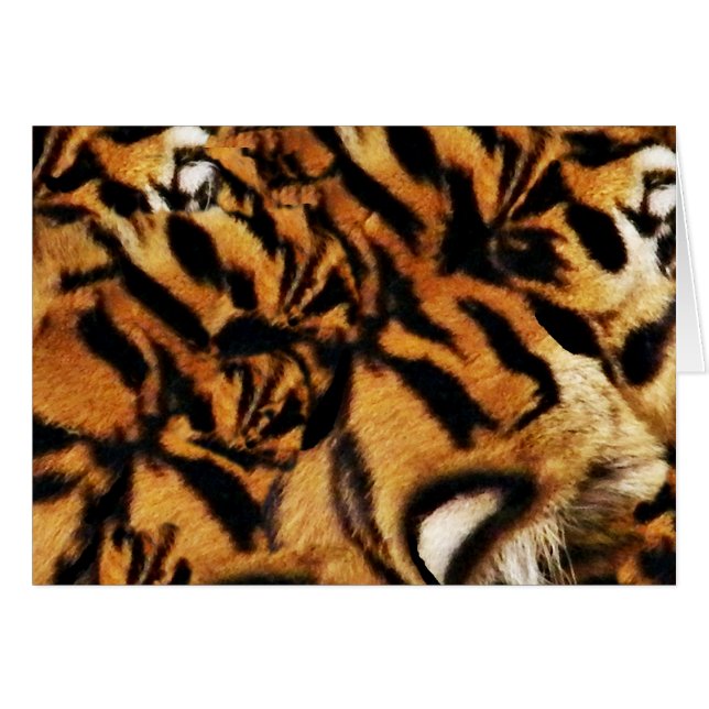 Tiger Love_ (Front Horizontal)