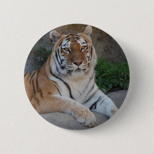 Tiger Love 2 Inch Round Button