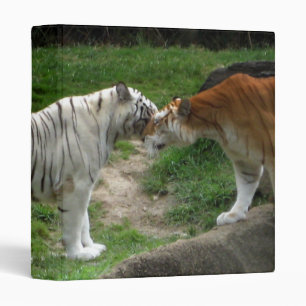 Tiger Love Classeur