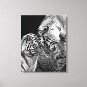 Tiger Love Photo on Canvas Wrap Print