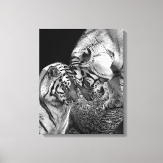 Tiger Love Photo on Canvas Wrap Print