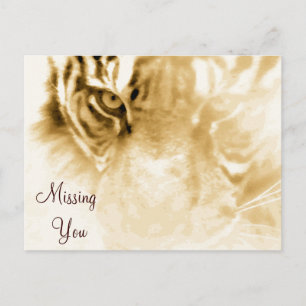 ,Tiger Love_ Postcard