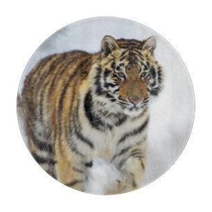 Tiger Lovers Art Cutting Board
