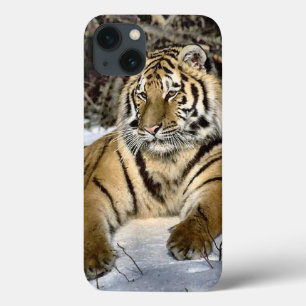 Tiger Lovers iPhone 13 Case