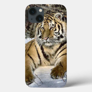 Tiger Lovers iPhone 13 Case