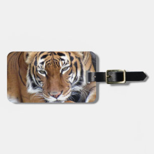 Tiger Luggage Tag