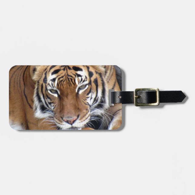 Tiger Luggage Tag (Front Horizontal)