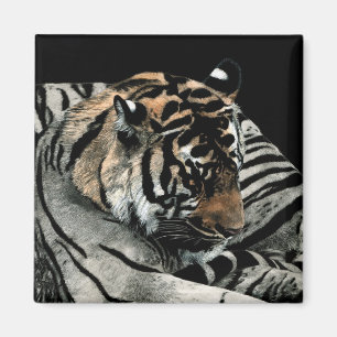Tiger Magnet  #2 - "Sleeping Patterns"